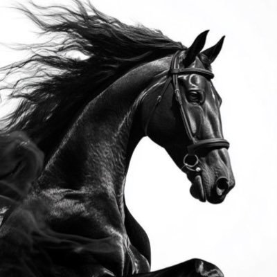 waleed_8022's profile picture. اتمنى الخير للجميع