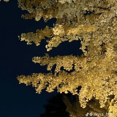 Conii9298's profile picture. 