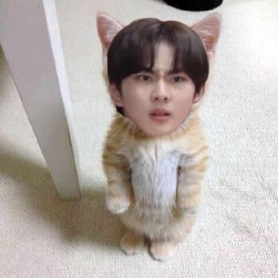 NunnyWaranya's profile picture. BTS & ENHYPEN forever 💜🧡  IG:Nunny_waranya