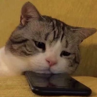 Thiamtawan's profile picture. 