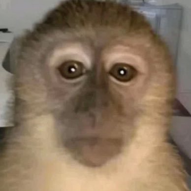 kinmarmolejog's profile picture. 🇲🇽♈️FD