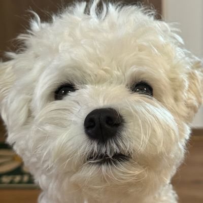 haiwonpil's profile picture. 왈왉왈와ㅓㅇ악