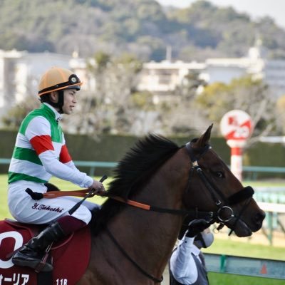 Efforia_data's profile picture. 趣味でデータ収集始めました。 産駒の2026年デビューに向けて現在準備中です。手作業で入力しているため漏れが起こる可能性があります。その場合は→@crunchy2_22_5 までお願いします。