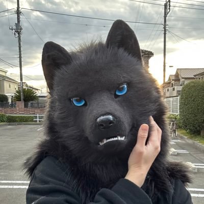 Lia0510_furry's profile picture. 着ぐるみ10匹で始まる物語？ 人をシェアしてます Nice to meet you. #funny #ルクアット #ライアガラ #隠恋紅 #黒狼石 #FursuitFriday 2025年に着ぐるみ6体お迎えしたアホ #FursuitEveryday