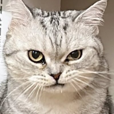 enigma100524's profile picture. 22

We don't have forever.

Being and becoming.