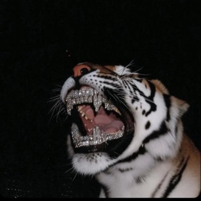 Clint0n7g's profile picture. Don't Complain Don't explain Just Believe🧠