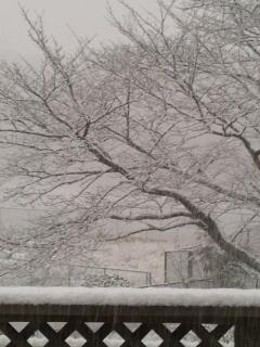 raso_no_rana's profile picture. 奈良をこよなく愛する、奈良の空が好き。みなさん、奈良へ、おいでませ。