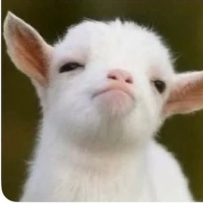 ikonpoppin's profile picture. #iKONIC #letmebemessyfornow