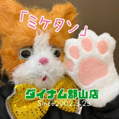 dynam_00122's profile picture. 福島県郡山市にあるパチンコホール「ダイナム郡山店」のＸアカウントです。
お店の情報や地域情報、従業員のプライベートなども発信していきます。
SINCE 2002.3.23
公式LINEはコチラ　
https://t.co/psmu1nmZBm
※ＤＭ等のメッセージには個別に返信出来ません