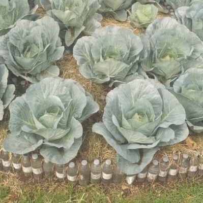 Businge754's profile picture. 𝑡ℎ𝑖𝑛𝑘𝑖𝑛𝑔 𝑝𝑟𝑜𝑙𝑖𝑓𝑖𝑐𝑎𝑙𝑙𝑦 𝑖𝑠 𝑎 𝑚𝑢𝑠𝑡