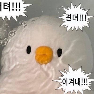 rossi_e_c_S2's profile picture. ㅠㅠ 저에요.. 나를 찾아줘 트친들아..