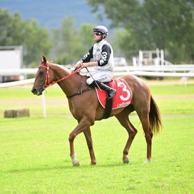 My_Vyss's profile picture. Sir Carter, Encrypted Feeling, GS Warriors, Geelong & Cronulla tragic! Love a punt and pretty much any sport! https://t.co/e25rluMXM5 from time to time.