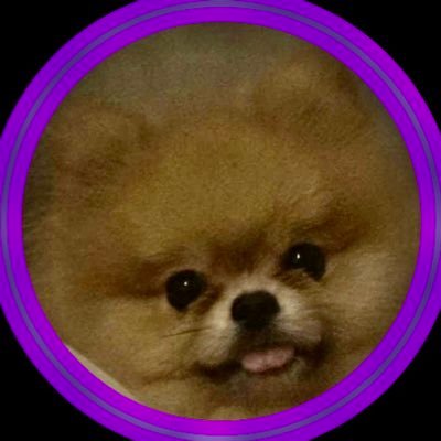 k8ty0225's profile picture. 