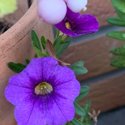 Happy111170's profile picture. Mutter, Christin, Alle Menschen sind gleich, Natur- und Tierliebhaberin, amo Italia, liebe Musik und Tanz