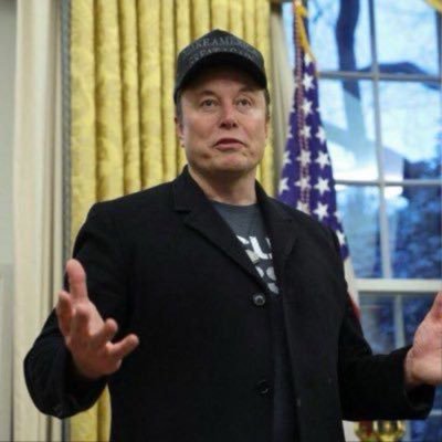 elonmusk255356's profile picture. ELON MUSK THE CEO OF TESLA