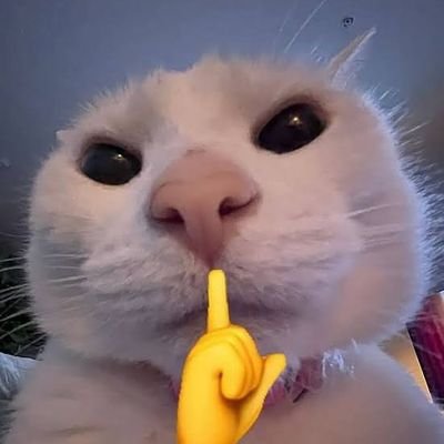 Hind_Ka_Sitara's profile picture. Cinema , Music , Cricket , Science, Tech , Politics