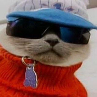 jjumboMilkWater's profile picture. 20 year old Game & Software Dev