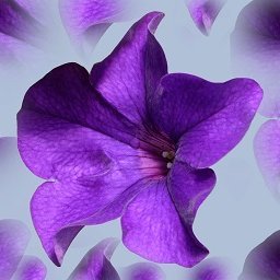 shedev22's profile picture. web developer,  Android developer,AI enthusiast and Author