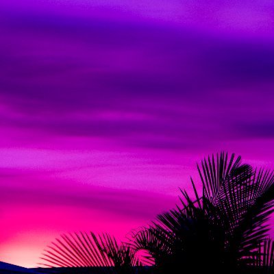 WoopidyDooo's profile picture. Weeeeeh!