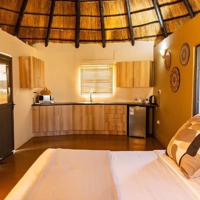 Blessing_054's profile picture. When the darkness of the mind meets the light of technology 💻💊, and love becomes the prescription for healing ❤️ #DarkPsychology #MentalHealth #LoveConquersAl