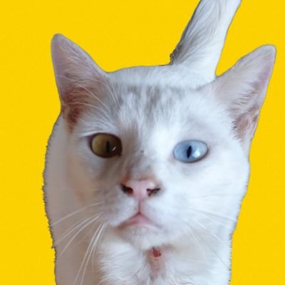 e6ppRuIr5b4mQze's profile picture. 健くん、恋つづ、るろ剣、ヒゲダン、ONE OK ROCK        
私の生きる源になってます
いろいろ呟きます フォローも外しもご自由に いいね👍️たくさんします 声かけてもらえたら喜びます🎵