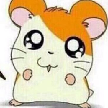 sukonbu_buya's profile picture. どうもたまにXに出現するどこぞの中学生、ブーヤです。