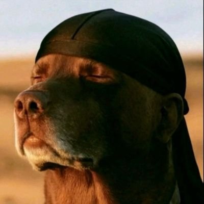 LevieLevitoh's profile picture. Arsenal Die hard 🔥🙏 || Gambler....|| comrade wa KyU....
Broke now but dreams ni za kutoka block 💪
Dm for business,
Movie addict,