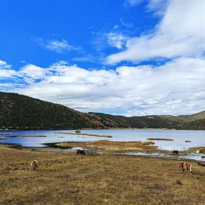 beyondsouthpole's profile picture. 