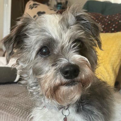 qwertymark77's profile picture. No longer on X