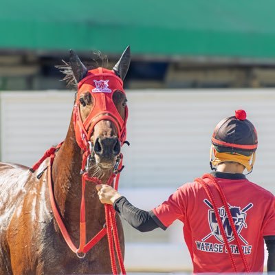 w_k_st's profile picture. 園田競馬渡瀬厩舎厩務員