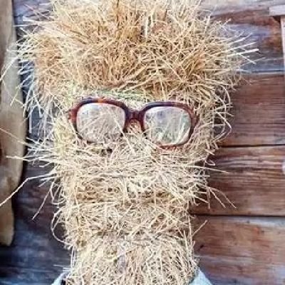 Ventril98417585's profile picture. 