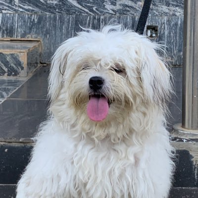 magnumopus07's profile picture. 