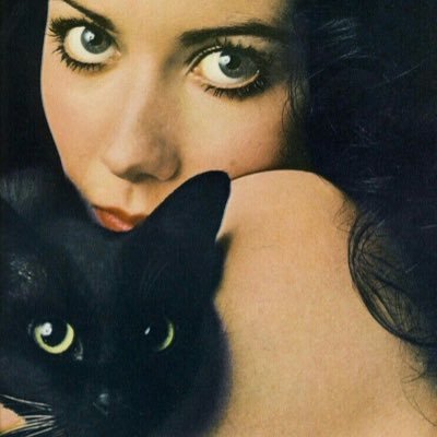 wwwexww's profile picture. امرأةٌ مُزدحمةٌ بما لم يُقَل