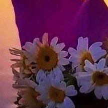 mounasanje's profile picture. 