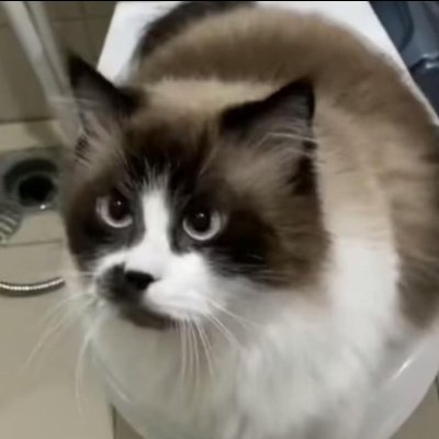 kkkevinstriker's profile picture. 