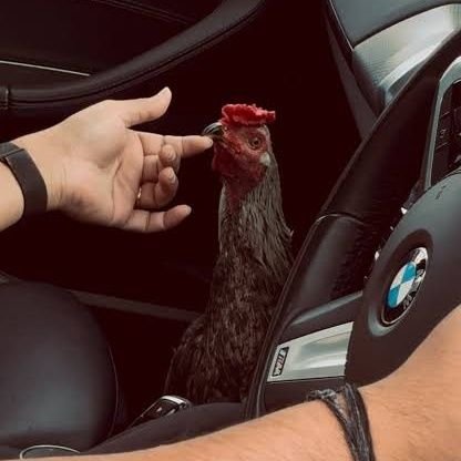 ManPunju73979's profile picture. 