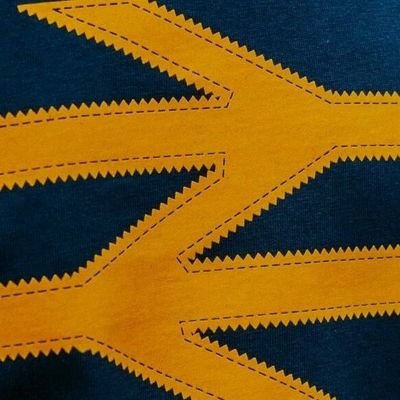 wscevans's profile picture. My time on this platform is done. active on alternative media. Best Regards.