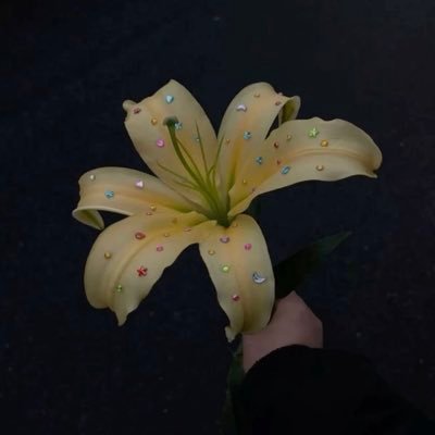 qlxooy's profile picture. @𝗆𝗇𝗂𝗃𝗎𝗇𝗀𝗄𝗈𝗈𝗄 / @𝗂𝖺𝗆𝖿𝗂𝗇𝖾𝗍𝗁𝖺𝗇𝗄𝗒𝗈𝗎𝖺𝗇𝖽𝗋𝗒𝗎