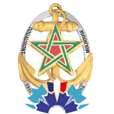 RICM_off's profile picture. Compte officiel du régiment d'infanterie-chars de marine