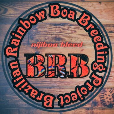 aawww3612's profile picture. レインボーボアとレオパ
爬虫類(⁠･ั⁠ω⁠･ั⁠)