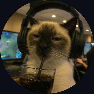 ak_singh2211's profile picture. 20 |  here to grow. | DSA and Full stack