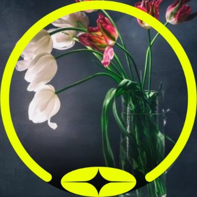 Milross9's profile picture. Some buy the top, some buy the dip—I buy and never quit. WAGMI, just wait. 💎