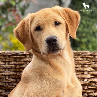 CarlosS61995592's profile picture. 身份验证专家 | 反欺诈与KYC合规
 提供安全可靠的KYC（了解您的客户）身份验证服务，帮助企业防止欺诈、身份盗窃和金融风险。
专注于金融科技、区块链、在线支付和其他行业的身份认证解决方案。

Telegram: