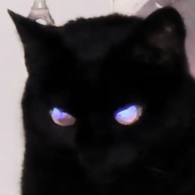 sandra372445330's profile picture. 