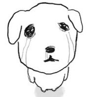 plantdungE's profile picture. 덩이식물공격 다목적러닝앺터계 박찬호급 간헐적 말많음 |덩이라고불러주세요| 접속잘안함 연락 톡으로|            
          
어제 뭐가 무너졌어