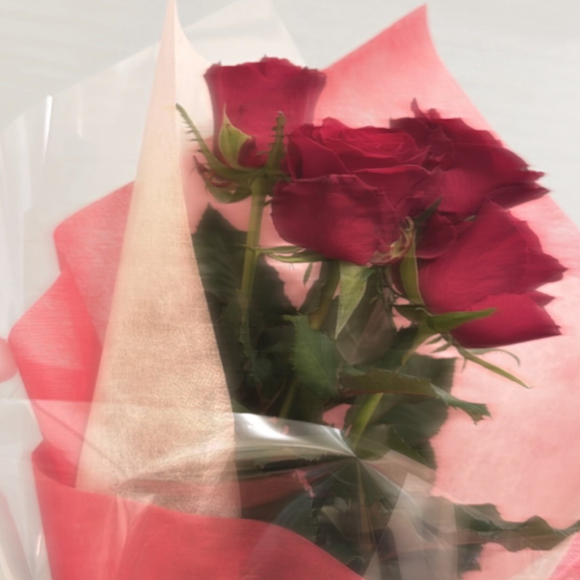 mui1939's profile picture. 00世代🚺