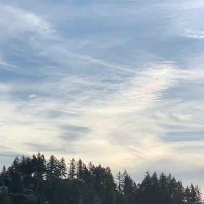 Noor1881704's profile picture. ﴿وَقُلْ رَبِّ زِدْنِي عِلْمًا﴾ | 📚🧠 | Senior medical student