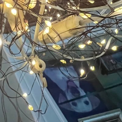 mo6k's profile picture. 