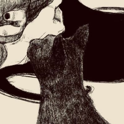 0xVello's profile picture. 