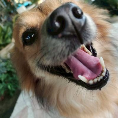 SpmMod's profile picture. 💙 พึกพึก 💙 คือ คนธรรมดา ที่ไม่ ธรรมดา ของ 🌅 Zunshine 🌅 7/8 🌅
#ZeePruk #Zunshine #TogetherWithZEEPRUK